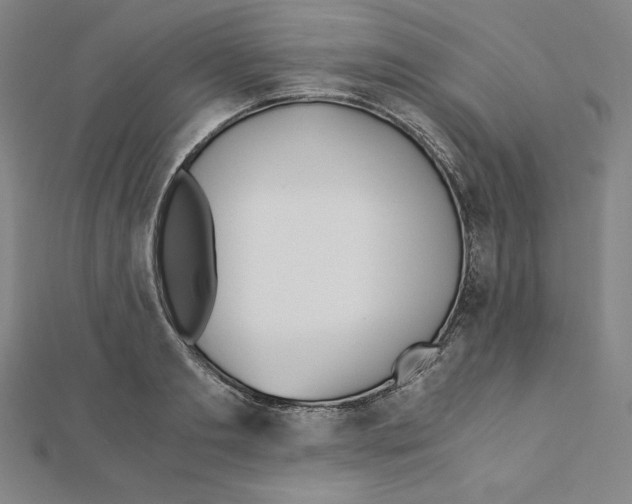 X0000111430893200908241119