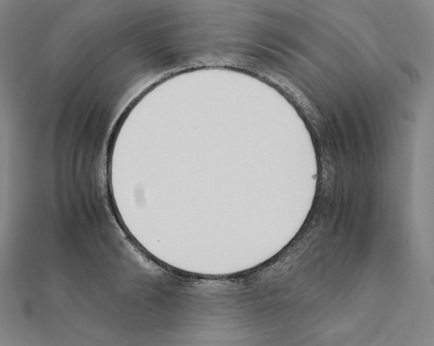 X0000111430894200908241119