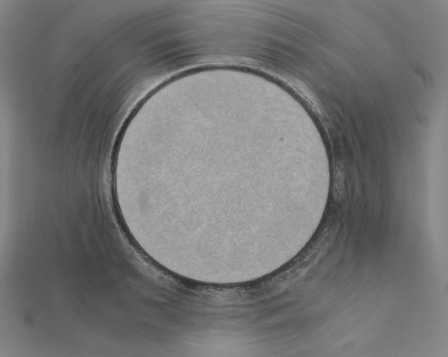 X0000111430895200908241119