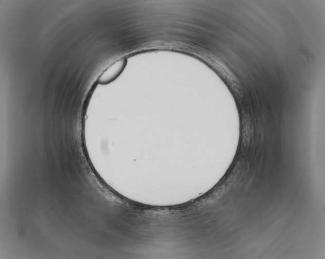 X0000111430896200908241119
