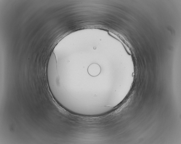 X0000111430897200908241119