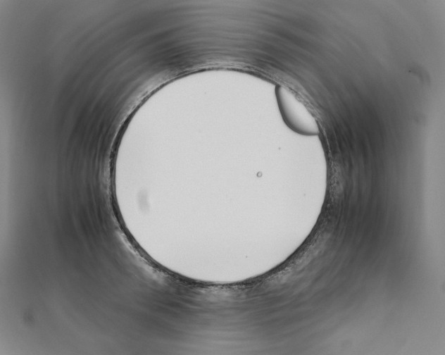 X0000111430898200908241119