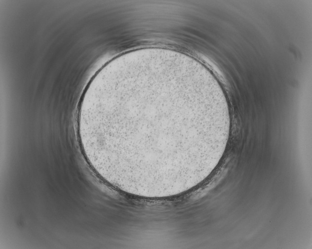 X0000111430899200908241119