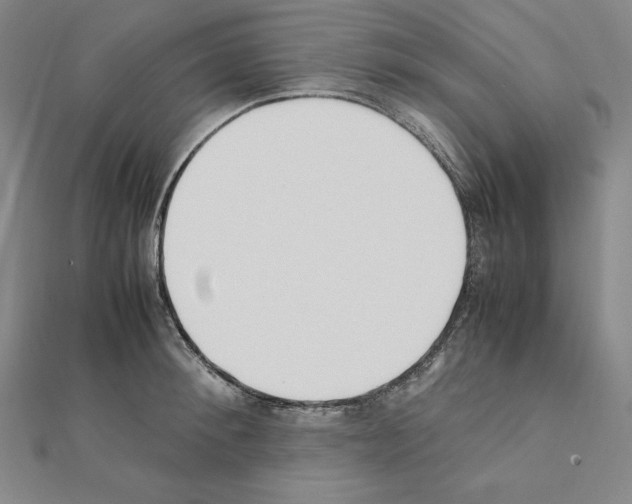 X0000111430900200908241119