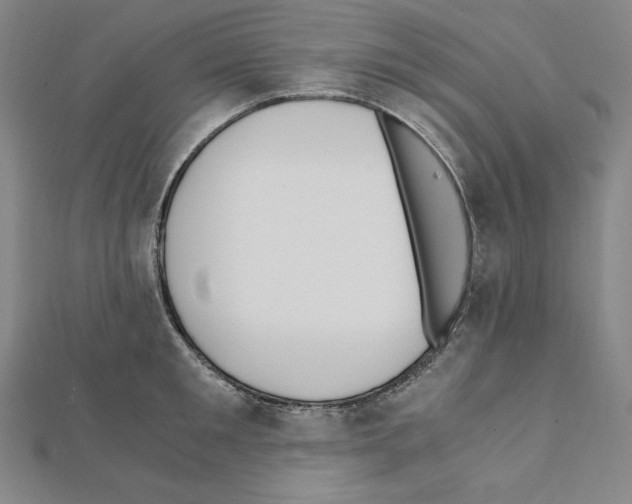 X0000111430901200908241119