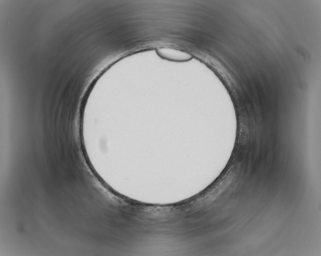 X0000111430902200908241119