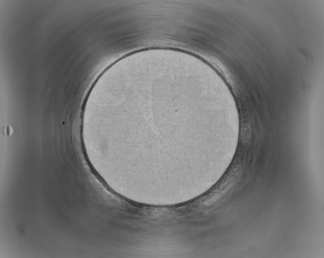 X0000111430903200908241119
