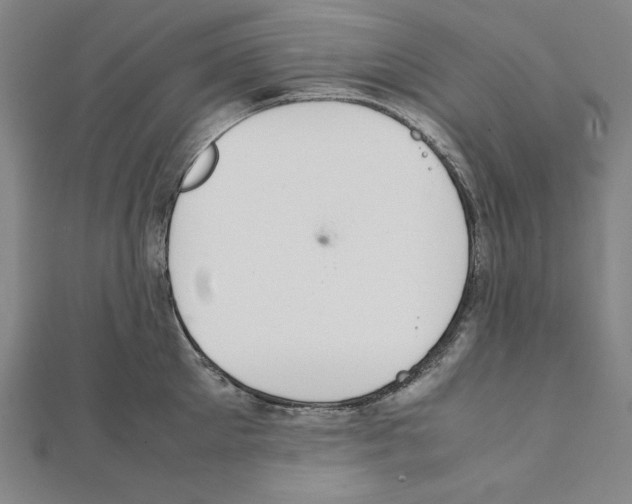 X0000111430905200908241119