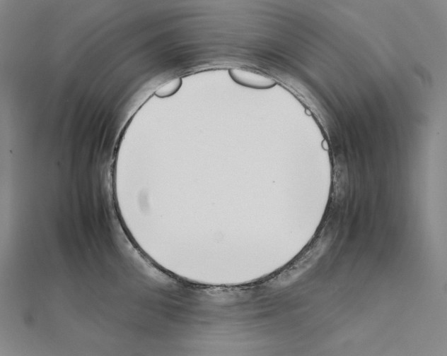 X0000111430906200908241119