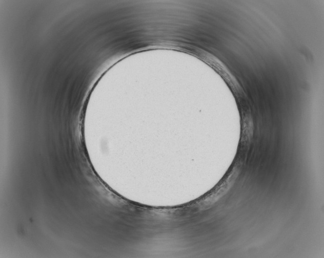 X0000111430908200908241119