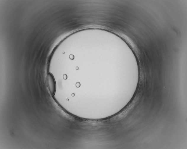 X0000111430910200908241119