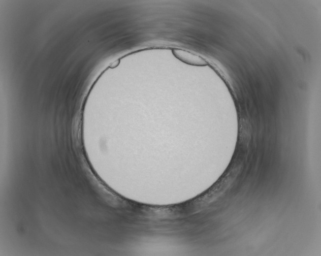 X0000111430911200908241119