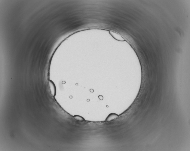 X0000111430912200908241119