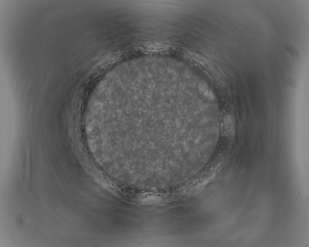 X0000111430913200908241118