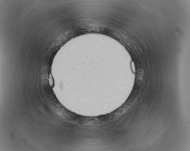 X0000111430916200908241118