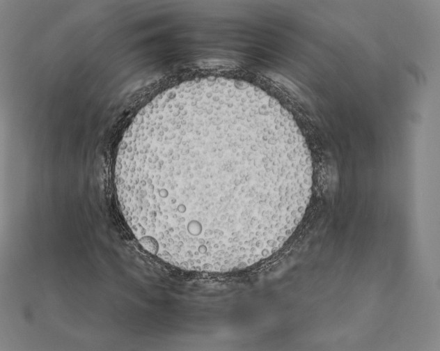 X0000111430917200908241118