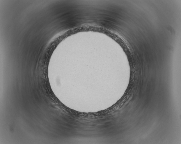 X0000111430919200908241118