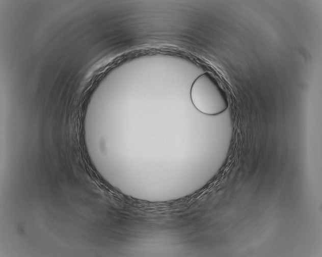 X0000111430920200908241118