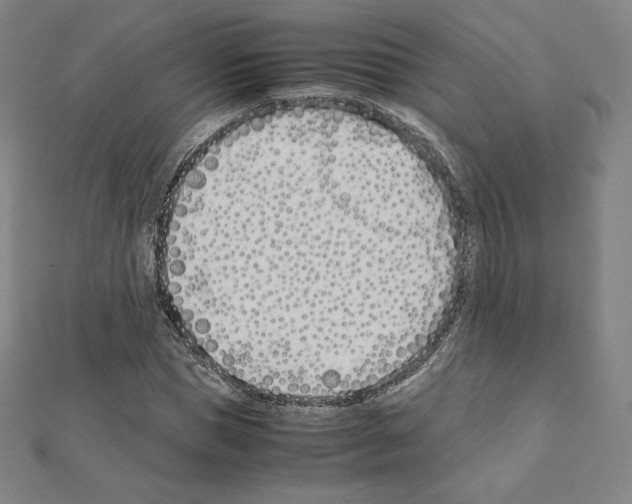 X0000111430921200908241118