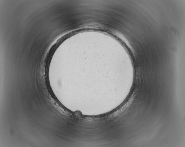 X0000111430923200908241118