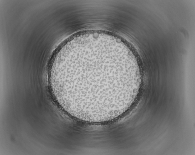 X0000111430925200908241118