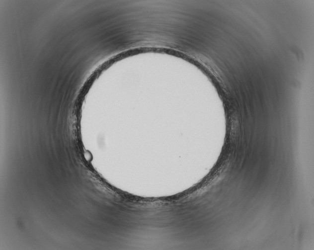 X0000111430926200908241118