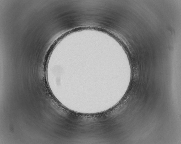 X0000111430927200908241118