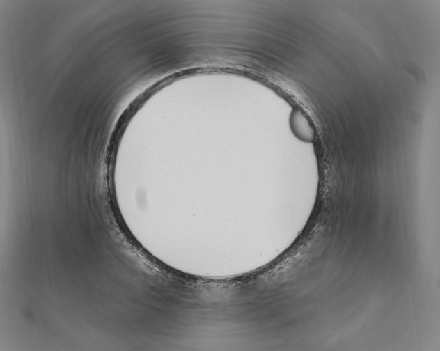 X0000111430928200908241118