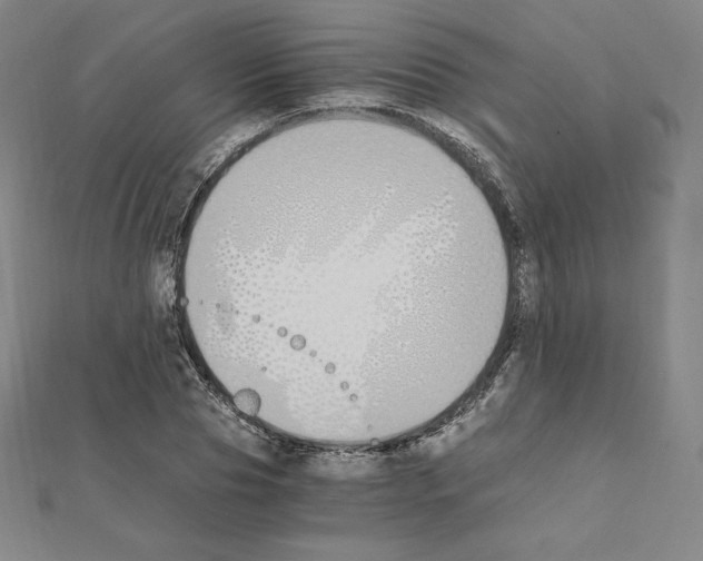 X0000111430929200908241118