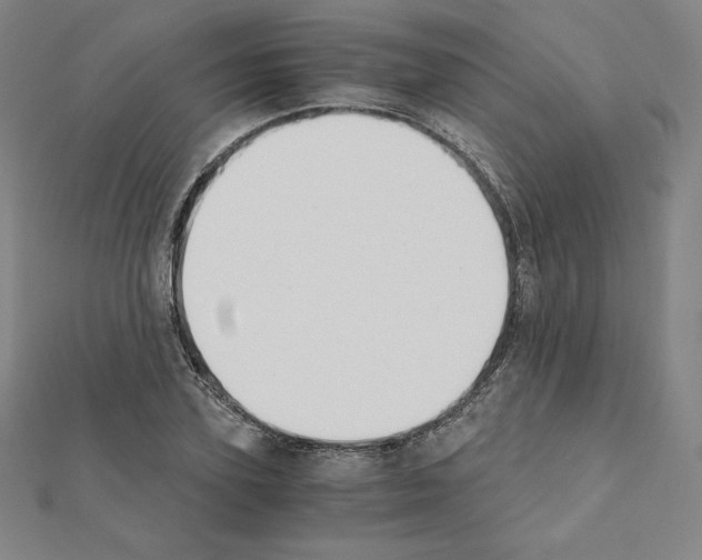 X0000111430931200908241118