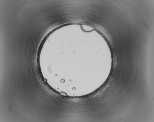 X0000111430932200908241118