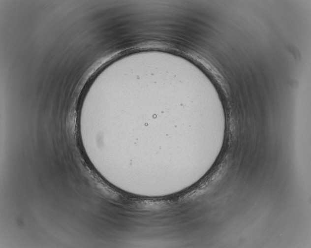 X0000111430933200908241118