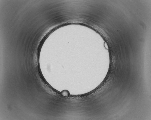 X0000111430934200908241118