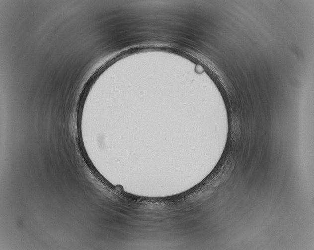 X0000111430935200908241118