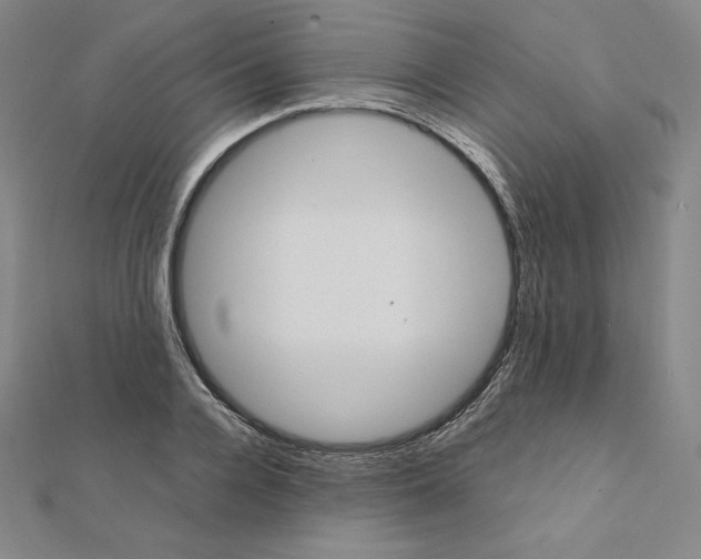 X0000111430936200908241118