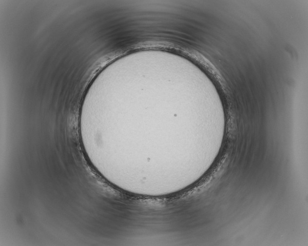 X0000111430937200908241118