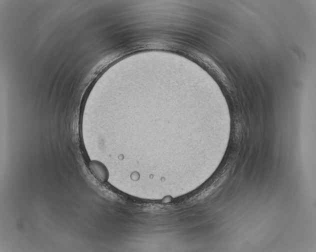 X0000111430938200908241118