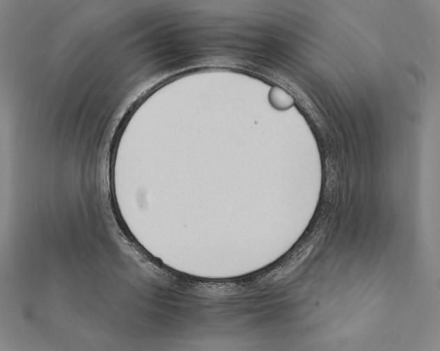 X0000111430939200908241118