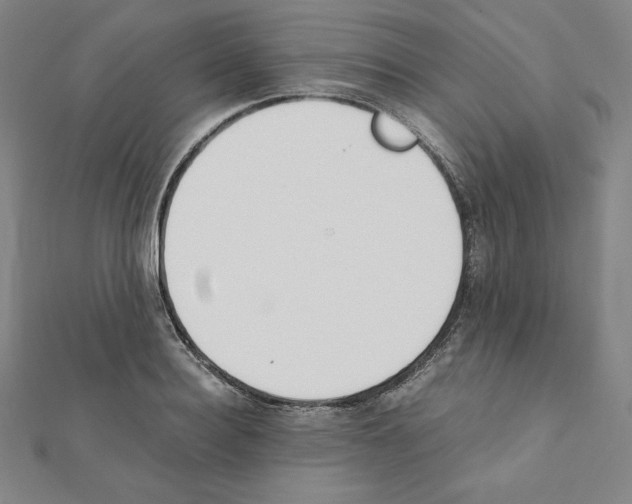 X0000111430940200908241118