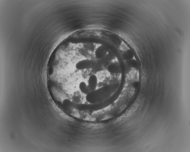X0000111430941200908241118