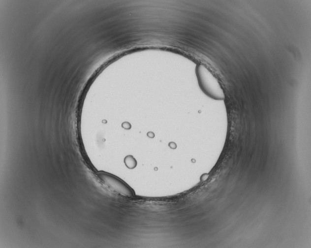 X0000111430942200908241118