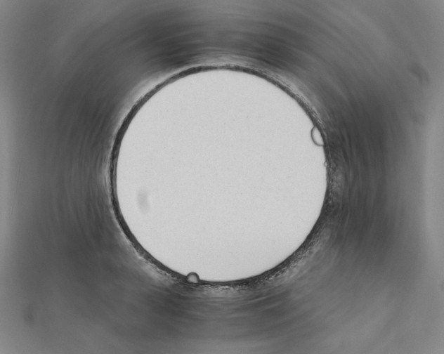 X0000111430943200908241118