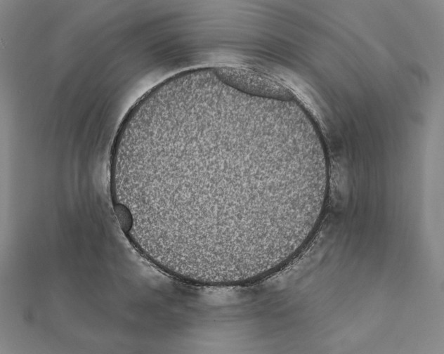 X0000111430944200908241118