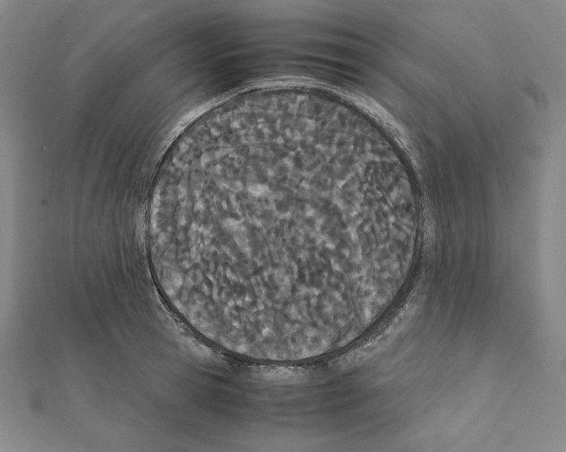 X0000111430945200908241118