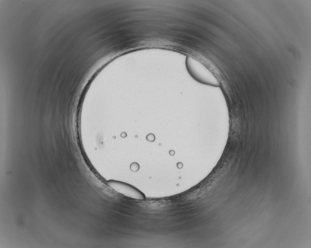 X0000111430947200908241118