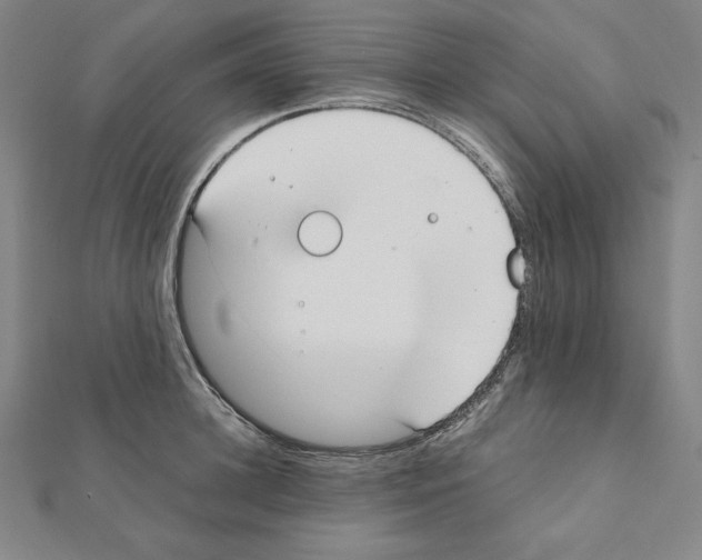 X0000111430948200908241118