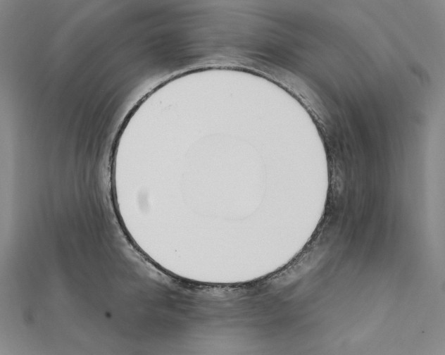 X0000111430950200908241118