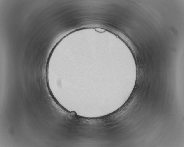 X0000111430951200908241118