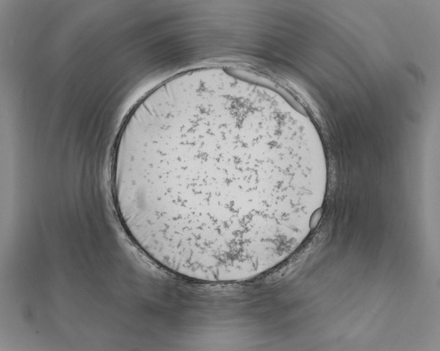 X0000111430952200908241118