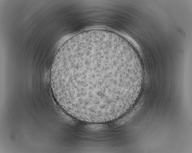 X0000111430953200908241118